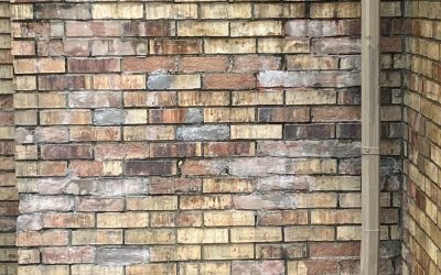 Repointing vs. Rebuilding: When to Repair and When to Start Over