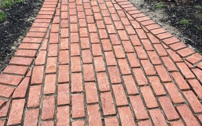 The Art of Tuckpointing: How Skilled Mortar Work Can Save Your Structure